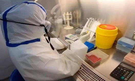 昨天做的核酸檢測(cè)為什么手機(jī)查不到 核酸檢測(cè)結(jié)果沒出可以坐高鐵嗎