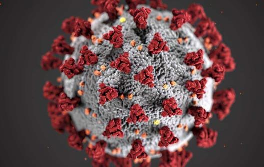 德爾塔病毒用什么消毒液 德爾塔病毒醫(yī)用酒精可以殺滅嗎