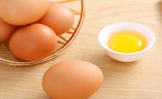 如何分辨小雞的公母?如何挑選種雞蛋?