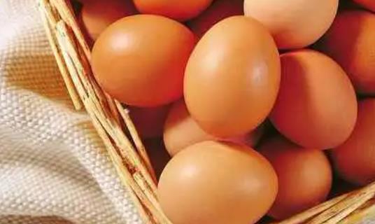 如何分辨小雞的公母?如何挑選種雞蛋?