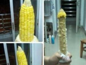 ?繼黃瓜香蕉茄子之后~玉米也有內(nèi)涵了,你懂的