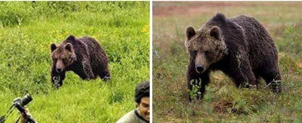 �_��ȫ�������������Ƭ �����^�ď���