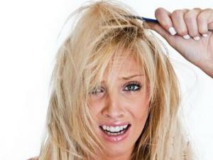 脫發的原因？用藥膳來解決脫發問題