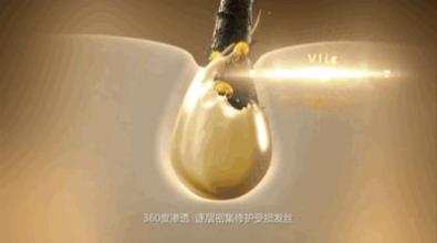 夏秋換季之際 丹姿絲維麗一瓶修護