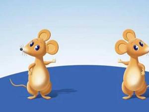 ������F�ˌ��࣬�c�����˲��ϵČ��࣬���c������Ф���P(gu��n)ϵ