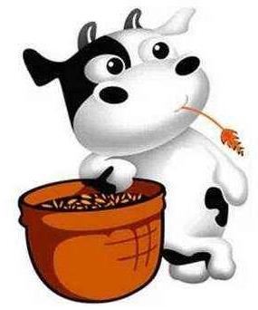 屬牛的貴人屬相,與屬牛人不合的屬相,牛與其他生肖的關(guān)系