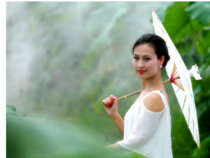 ��֪���᣿2018��ʮ����Ф�����\(y��n)��(sh��)����ô�ӵģ�