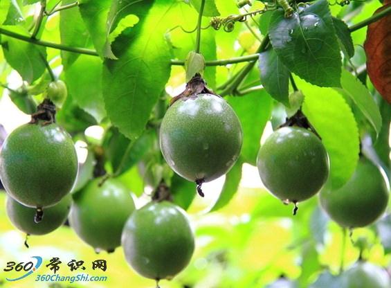 �_�h���ΰ��տ�