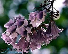 ��ͩ���ί��ഺ��ƫ��