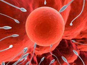 精子弱能生男孩嗎?什么樣的精子能生男孩