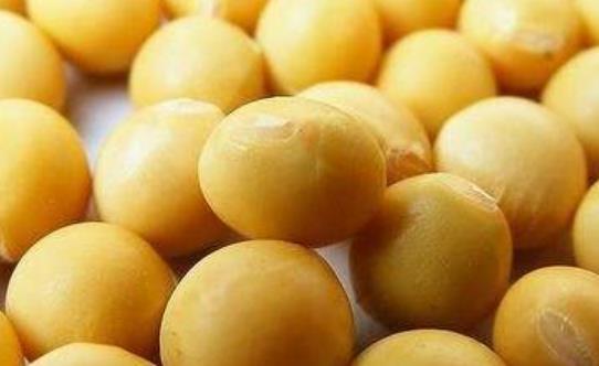 食物也有可能會影響到男性的性能力 介紹影響男人性能力五種食物