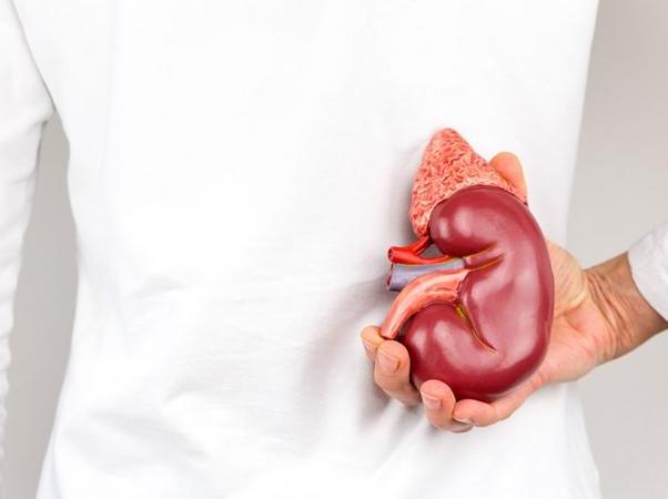 女性補腎吃什么藥好?女性腎虛吃什么水果好