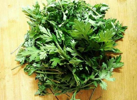 用了艾草大姨媽推遲怎么辦?為什么泡了艾草子宮會出血?