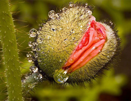 女性陰部真實照片:詳解健康女人真實完美陰道圖片【多圖】 女性陰部真實照片