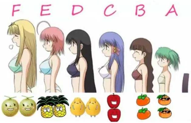 男生想象中女人胸部罩杯尺寸和女生實際的罩杯尺寸對照圖片