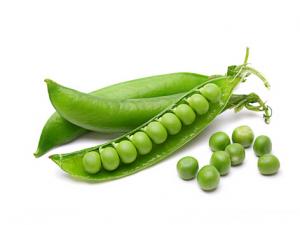 豌豆的營(yíng)養(yǎng)價(jià)值-豌豆的做法