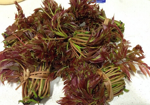 香椿炒雞蛋的做法-香椿炒雞蛋怎么做?