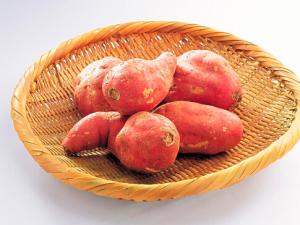 紅薯發芽了還能吃嗎？紅薯的營養價值