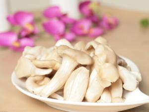 平菇的適宜人群與營養(yǎng)-平菇怎么做好吃？