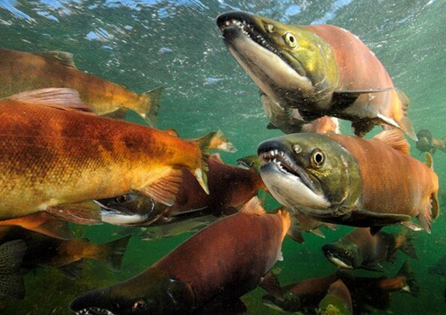 ���R���~����ô�ԣ����R���~������