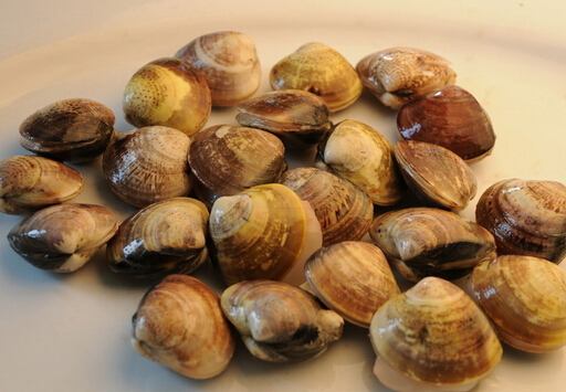 �ĸ�ĠI(y��ng)�B(y��ng)�r(ji��)ֵ-�ĸ������