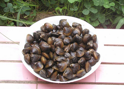 ͘������-͘��ʲô��