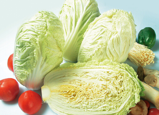 �r�r����ײ˰�������-�ײ˲�һ�ӵĳԷ�