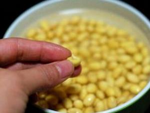 發(fā)芽豆還可以用嗎？發(fā)芽豆打豆?jié){更鮮美