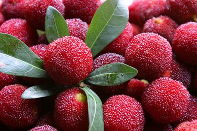 ��÷���ݶ�ÿ��Ժȣ����Ɨ�÷�Ƶ������͹�Ч