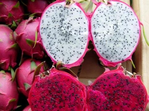 ��������ô���óԣ���������������ȫ