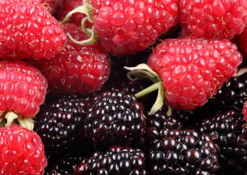 桑葚怎么吃?桑葚的做法大全