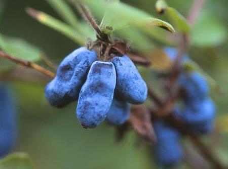 �{�����ô�ԣ����{�����ע�����