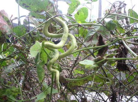 �߹���ô�ԣ��߹ϵ�������ȫ