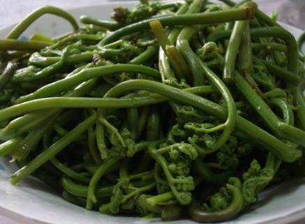 ާ����ô���óԣ�ާ�˵�������ȫ