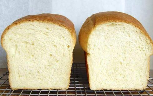 面包二發(fā)為什么發(fā)不起來?面包二發(fā)發(fā)不起來怎么辦