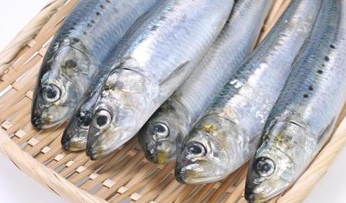 帶魚(yú)段為什么比帶魚(yú)便宜?帶魚(yú)段該怎么處理