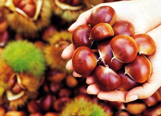 烤板栗可以用黃油嗎?烤板栗用什么油都可以嗎?