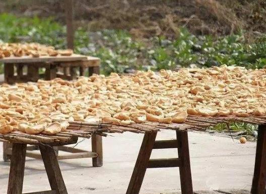 曬干的蘿卜干上面有灰塵怎么清洗干凈?鹽腌蘿卜干的方法