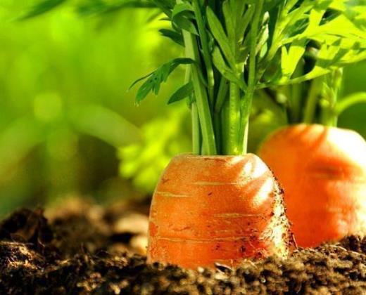 ���}��֭�����ĺ�߀����ĺã����}��֭�ӟ���ƉĠI�B(y��ng)��