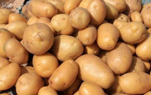 過(guò)水的土豆熱量高嗎 水煮土豆能做成土豆泥嗎