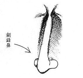 �����絶�˷���