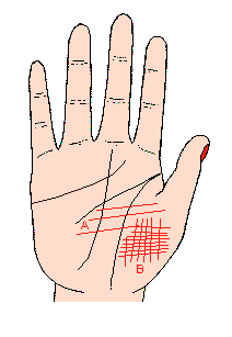 �����D��֮�Ƽyƪ�������y���D��