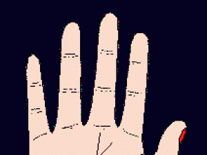 手相影響線，影響線圖解，手相影響線算命圖解