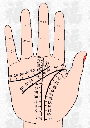 �����࿴���g�Ŀ���