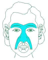 ����С�����෨��Ů���õ�С�����෨