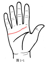 ���������D�⣺�������M������һ