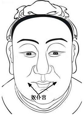 ���������D�⣺����ʮ���m�D֮ū�͌m