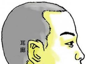 骨相圖解:靈神奇智骨