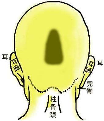 �����D�⣺��������