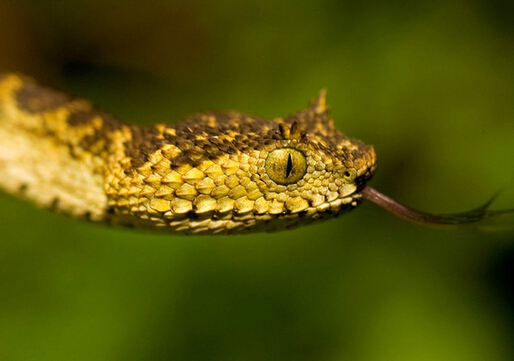 ����ҧ������-�ί�����ҧ���Ĳ�ˎ